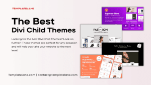 Best Divi Child Themes