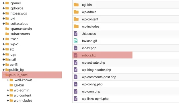 robots.txt file root Directory