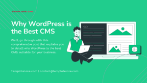 Why WordPress is the Best CMS